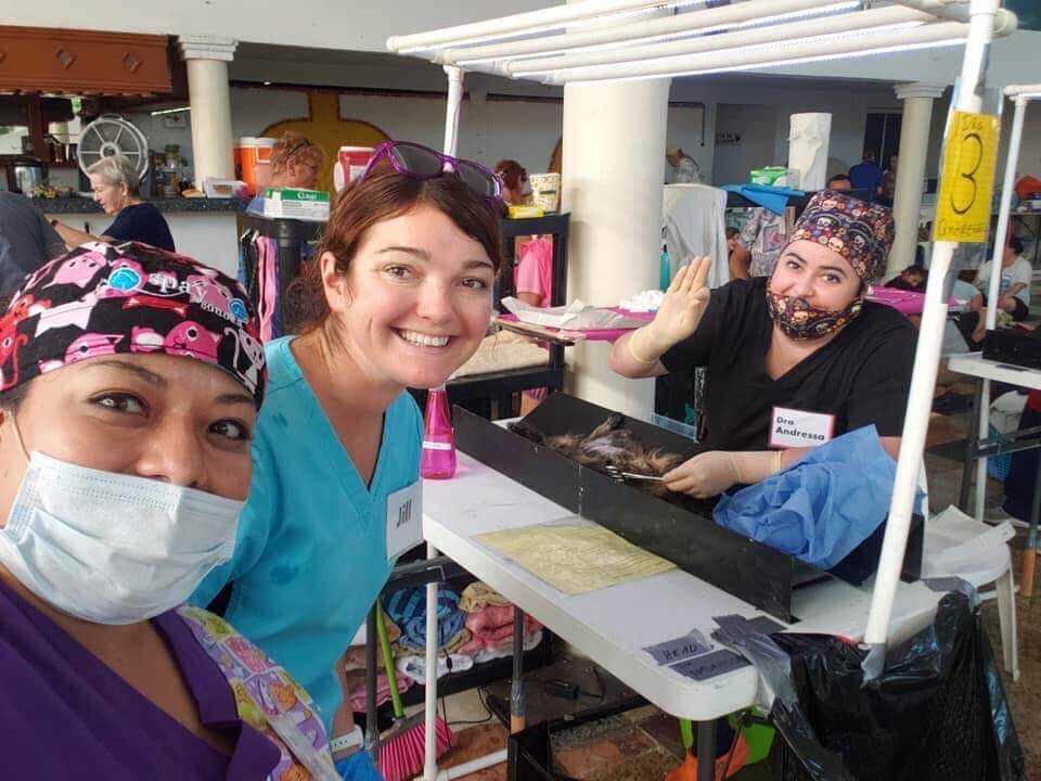 Maybeck Animal Hospital Animal Rescue Abroad