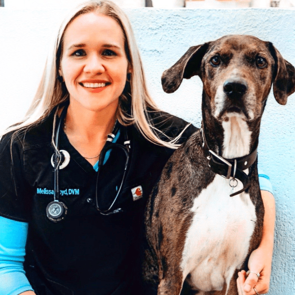 Screenshot 2024 11 27 114141