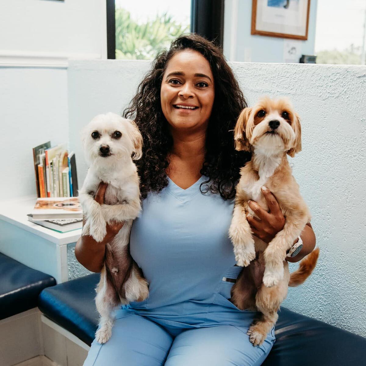 Aaha Accredited Veterinary Practice In West Melbourne Fl Aaha Accredited Veterinary Practice In West Melbourne Fl